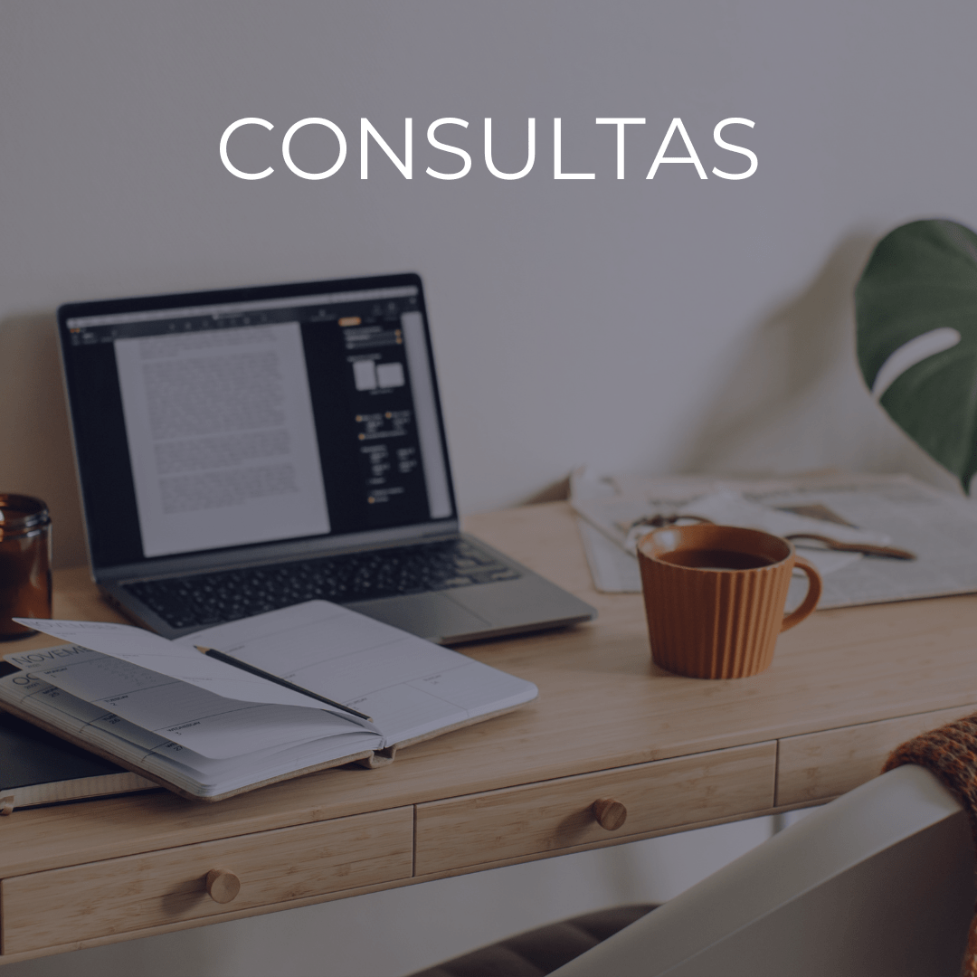 Consultas